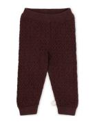 Luca Pants That's Mine Burgundy