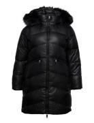 Essential Real Down Coat Inclu Calvin Klein Black
