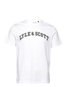 Collegiate T-Shirt Lyle & Scott White