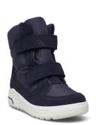 Urban Snowboarder ECCO Blue