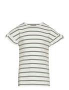 T-Shirt Ss Stripe Creamie Green
