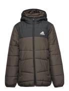 Padded Winter Jacket Adidas Sportswear Brown