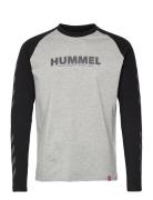 Hmllegacy Blocked T-Shirt L/S Hummel Grey