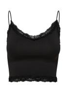 Onlvicky Lace Seamless Cropped Top Noos ONLY Black