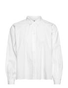 Org Co Solid Raglan Shirt Ls Tommy Hilfiger White