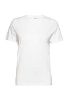 Slfmyessential Ss O-Neck Tee Noos Selected Femme White