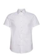 Shirt Emporio Armani White