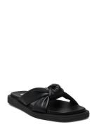 Allistar Sandal Steve Madden Black