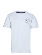 Short Sleeves Tee-Shirt Timberland Blue