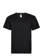 Dovre T-Shirts V-Neck Organic Dovre Black