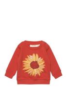 Sgbbuzz Sunflower Sweatshirt Soft Gallery Orange