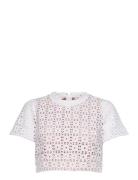 Eyelet Crop Cap Slv Top Michael Kors White