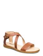 Sandals - Flat - Open Toe - Op ANGULUS Brown