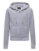 Robertson Class Juicy Couture Grey