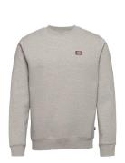 Oakport Sweatshirt Dickies Grey