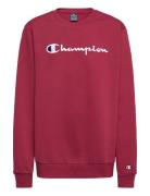 Crewneck Sweatshirt Champion Burgundy