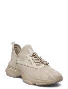 Match-E Sneaker Steve Madden Beige