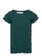 Cotton T-Shirt Rosemunde Kids Green