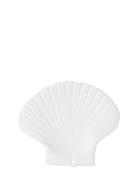 Plate Shell S Byon White