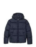 Puffer Winter Jacket With Hood Tom Tailor Navy
