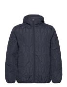 Puffer Jacket W?.Hood Lindbergh Navy