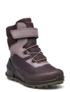 Biom K2 ECCO Purple