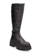 Chipp Boot Steve Madden Black