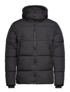 Cfwilson 0085 Short Puffer Jacket Casual Friday Black