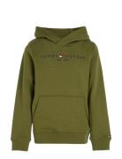 Essential Hoodie Tommy Hilfiger Green