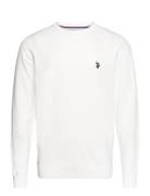 Uspa Knit Adair Men U.S. Polo Assn. White