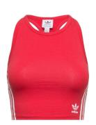Bustier Adidas Originals Underwear Red
