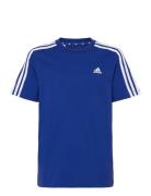 U 3S Tee Adidas Sportswear Blue