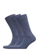 True Ankle Sock 3-Pack Amanda Christensen Blue