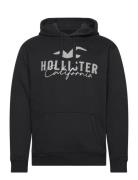 Hco. Guys Sweatshirts Hollister Black