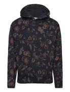 Hco. Guys Sweatshirts Hollister Black