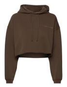 Pro Cropped Sweat Hoodie H2O Fagerholt Brown