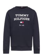 Th Logo Sweatshirt Tommy Hilfiger Navy
