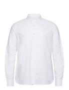 Harald Small Owl Oxford Regular Fit Knowledge Cotton Apparel White