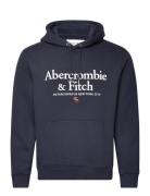 Anf Mens Sweatshirts Abercrombie & Fitch Navy