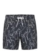 Hco. Guys Swim Hollister Black