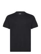 Hco. Guys Knits Hollister Black