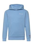 Hooded Sweatshirt Champion Blue