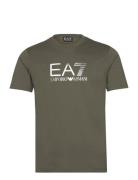 T-Shirt EA7 Khaki