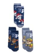 Nmmjygva Pawpatrol 3P Sock Cplg Name It Patterned