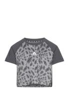 Jg Aop Tee Adidas Performance Grey