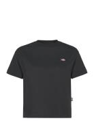 Oakport Boxy Ss Tee Dickies Black