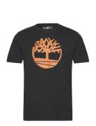 Kennebec River Tree Logo Short Sleeve Tee Black/Wheat Boot Timberland ...