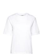 Bytrollo Crew Neck Tshirt - B.young White