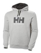 Hh Logo Hoodie Helly Hansen Grey