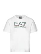 T-Shirt EA7 White